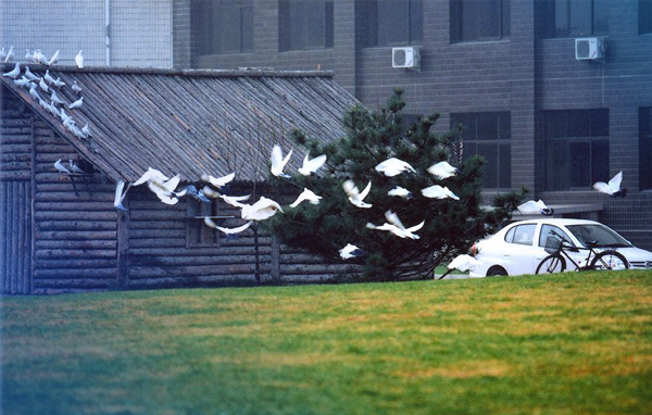 對(duì)外經(jīng)濟(jì)貿(mào)易大學(xué)2018年MBA招生宣講會(huì)安排（匯總）