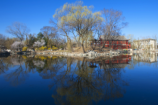 北大（PKU）—倫敦大學(xué)學(xué)院（UCL）MBA項目