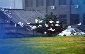 對(duì)外經(jīng)濟(jì)貿(mào)易大學(xué)工商管理碩士（MBA）2019年提前面試第三批申請(qǐng)中