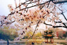 北京交通大學(xué)2019年MBA提前面試第四批申請(qǐng)中