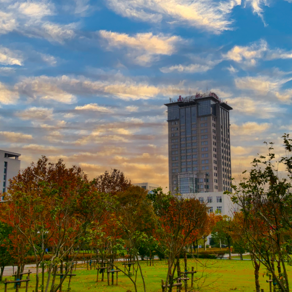 10.23| 南航線上公開課暨2024MBA/MEM/MPAcc項(xiàng)目招生說明會