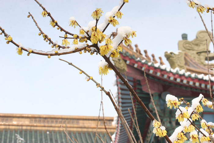 上海體育大學－MBA項目（非全日制）