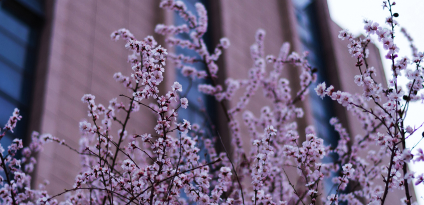 華北電力大學(xué)-MBA項目（非全日制）