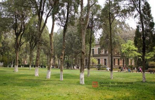 1507516109731962.png image.png