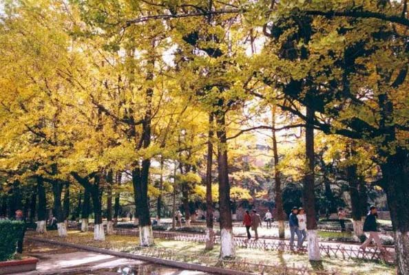 1507516218973184.png image.png