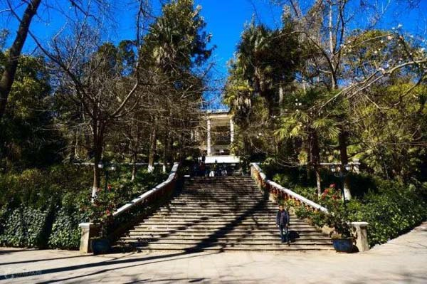 1507516245865159.png image.png