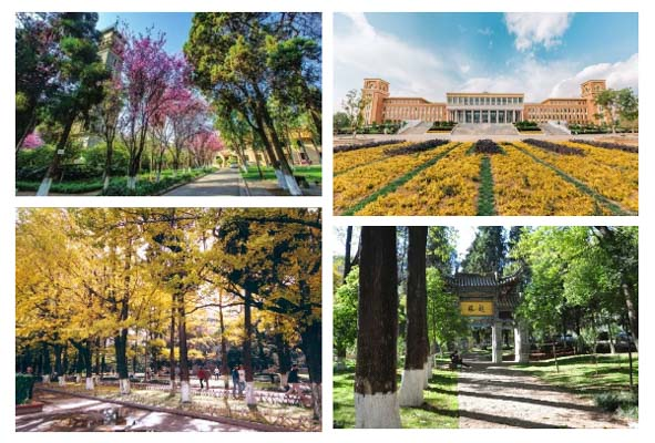 1507516277599315.png image.png