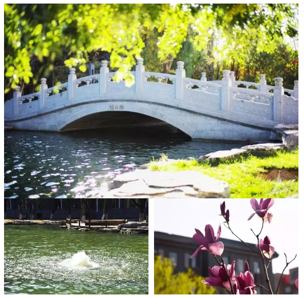 1507518400797995.png image.png