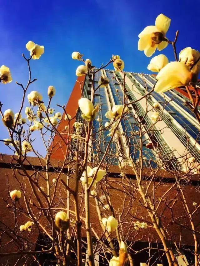 1507518427858037.png 1507518427858037.png