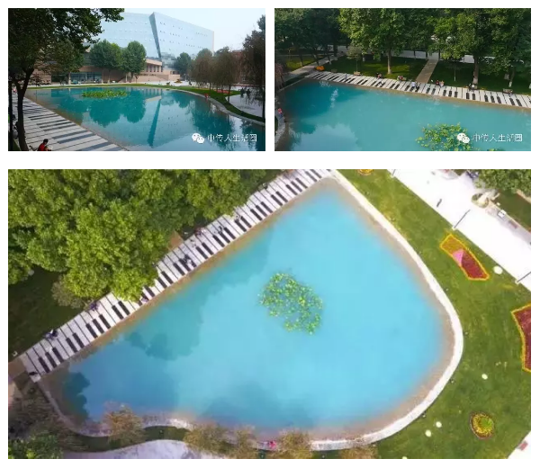 1507518464341890.png image.png