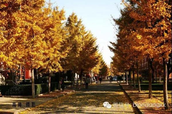 1507518504470701.png image.png