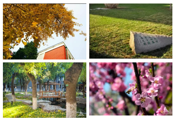 1507518513539881.png image.png