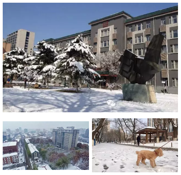 1507518551451887.png image.png