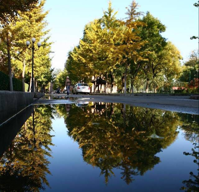 1507518559863240.png 1507518559863240.png