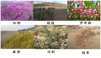 1521449457333497.png 1521449457333497.png