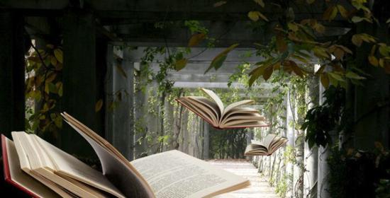 1521622673366498.jpg 1521622673366498.jpg