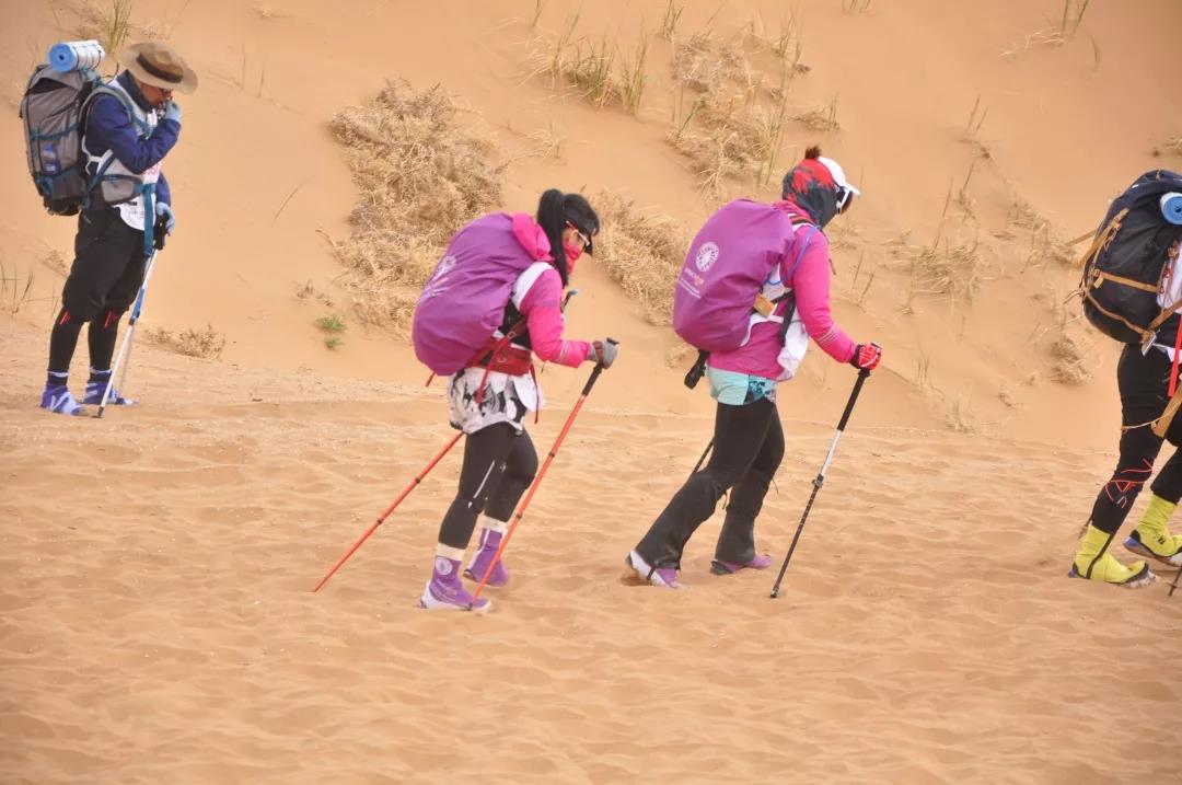 1541381765814491.jpg 1541381765814491.jpg