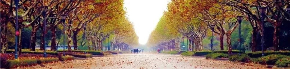 1558788421378559.jpg 新聞圖-13.jpg