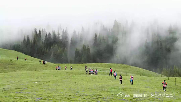 1577184230347056.jpg image013.jpg