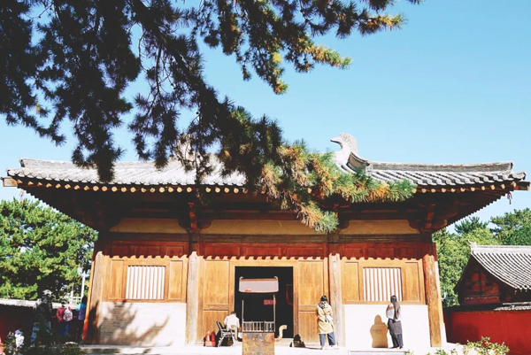 1606111188352601.jpg 未命名 (3 - 14).jpg