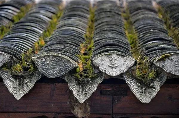 1606111218141793.jpg 未命名 (5 - 14).jpg