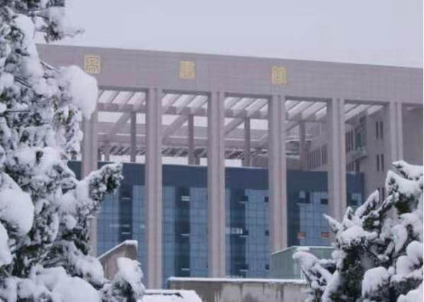 1610628348761786.jpg 5.jpg