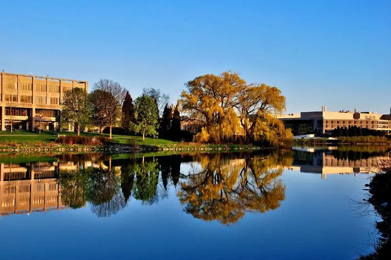 1610777447895797.png 1610777447895797.png