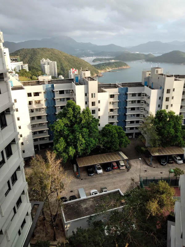 1611974360667594.jpg 3.jpg