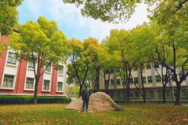 1618559867587403.jpg 3.jpg